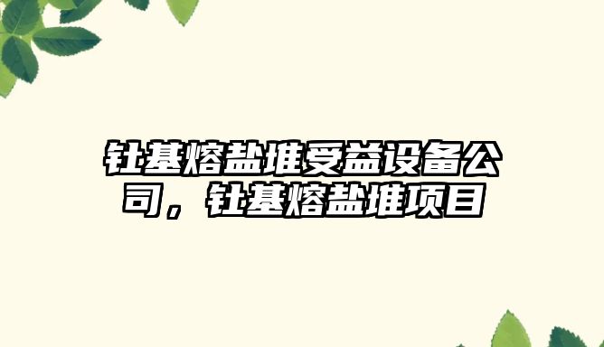 釷基熔鹽堆受益設備公司，釷基熔鹽堆項目