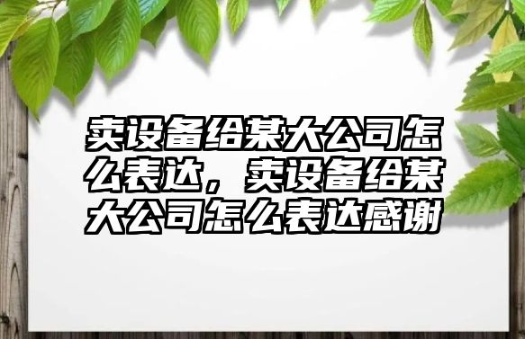 賣(mài)設備給某大公司怎么表達，賣(mài)設備給某大公司怎么表達感謝