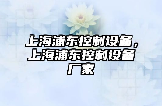 上海浦東控制設備，上海浦東控制設備廠(chǎng)家