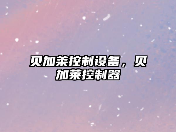 貝加萊控制設備，貝加萊控制器