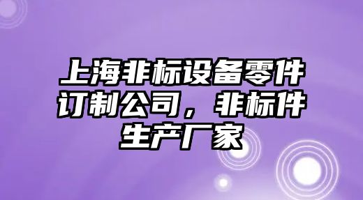 上海非標設備零件訂制公司，非標件生產(chǎn)廠(chǎng)家