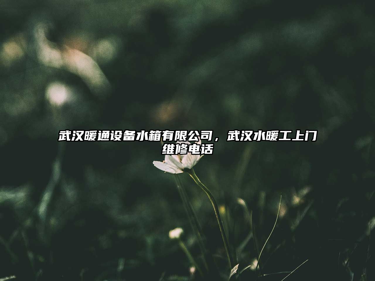 武漢暖通設備水箱有限公司，武漢水暖工上門(mén)維修電話(huà)