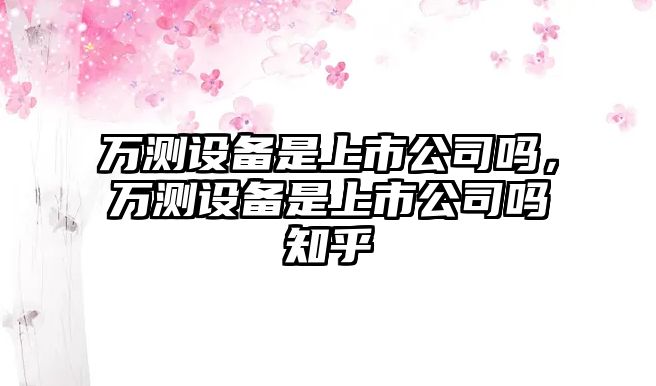 萬(wàn)測設備是上市公司嗎，萬(wàn)測設備是上市公司嗎知乎
