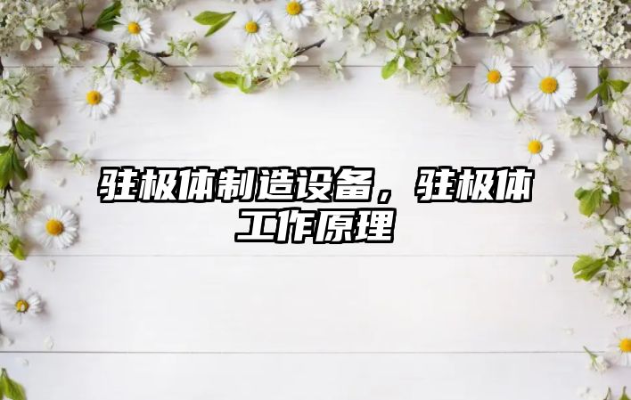 駐極體制造設備，駐極體工作原理