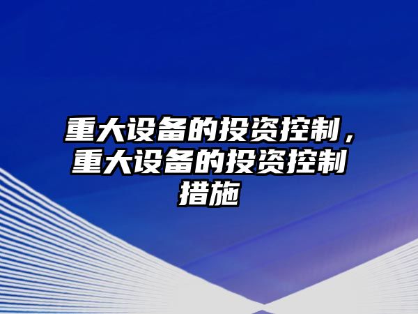 重大設備的投資控制，重大設備的投資控制措施