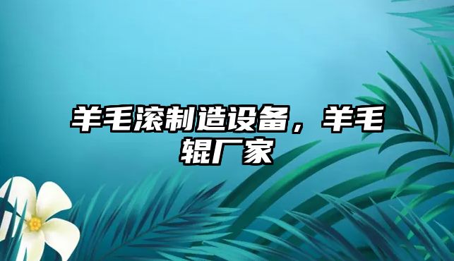 羊毛滾制造設備，羊毛輥廠(chǎng)家