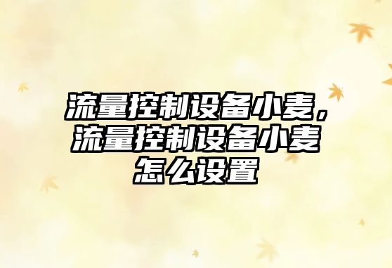 流量控制設備小麥，流量控制設備小麥怎么設置