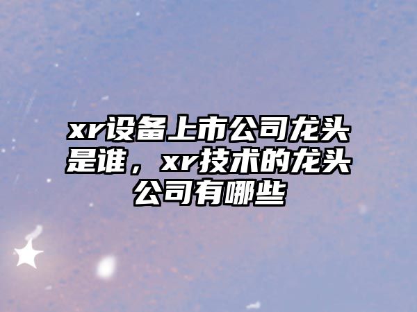 xr設備上市公司龍頭是誰(shuí)，xr技術(shù)的龍頭公司有哪些