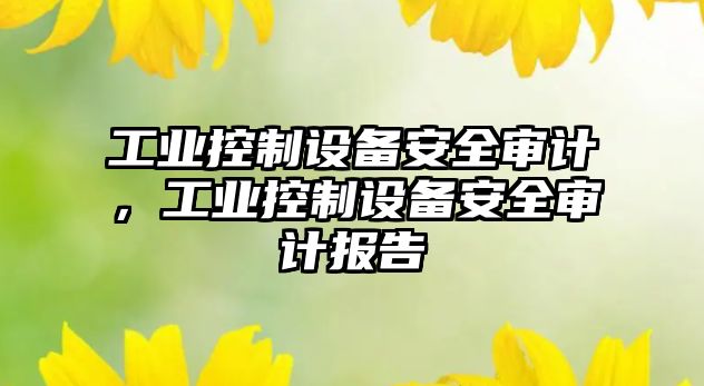工業(yè)控制設備安全審計，工業(yè)控制設備安全審計報告