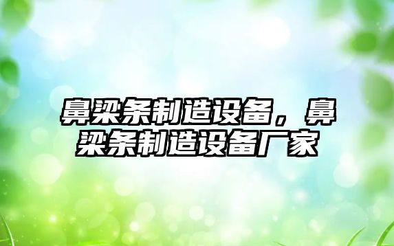 鼻梁條制造設備，鼻梁條制造設備廠(chǎng)家