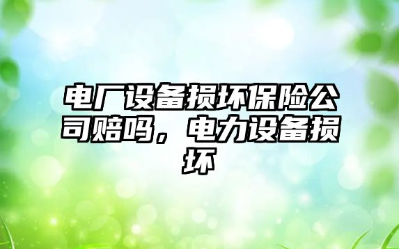 電廠(chǎng)設備損壞保險公司賠嗎，電力設備損壞