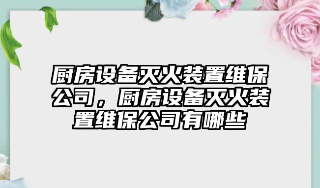 廚房設備滅火裝置維保公司，廚房設備滅火裝置維保公司有哪些
