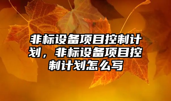 非標設備項目控制計劃，非標設備項目控制計劃怎么寫(xiě)