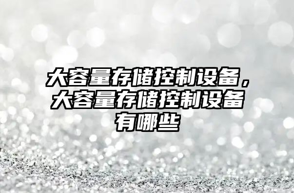 大容量存儲控制設備，大容量存儲控制設備有哪些