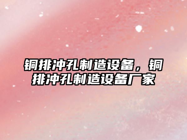 銅排沖孔制造設備，銅排沖孔制造設備廠(chǎng)家