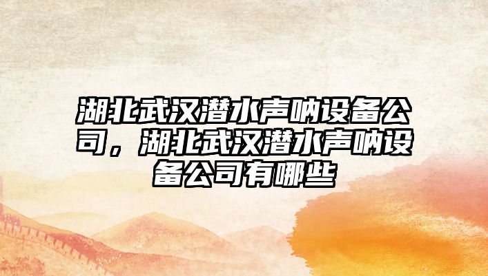 湖北武漢潛水聲吶設備公司，湖北武漢潛水聲吶設備公司有哪些