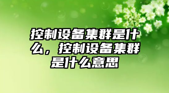 控制設備集群是什么，控制設備集群是什么意思