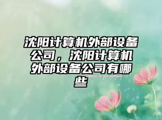 沈陽(yáng)計算機外部設備公司，沈陽(yáng)計算機外部設備公司有哪些