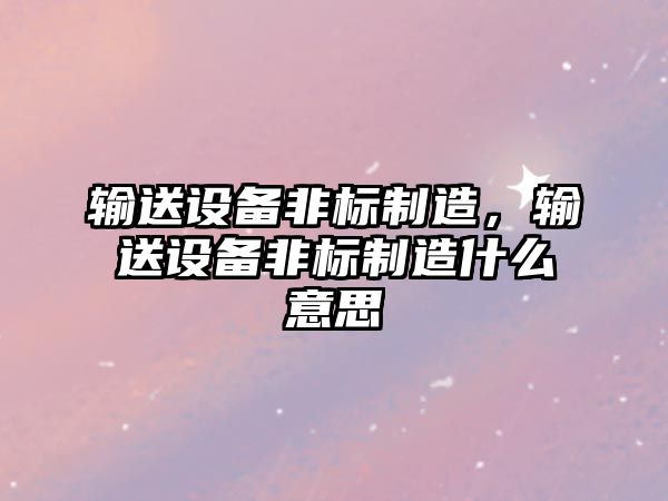 輸送設備非標制造，輸送設備非標制造什么意思