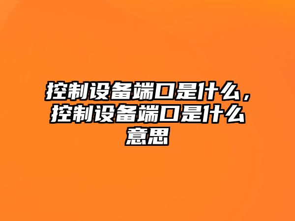 控制設備端口是什么，控制設備端口是什么意思