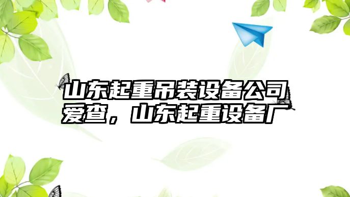 山東起重吊裝設備公司愛(ài)查，山東起重設備廠(chǎng)