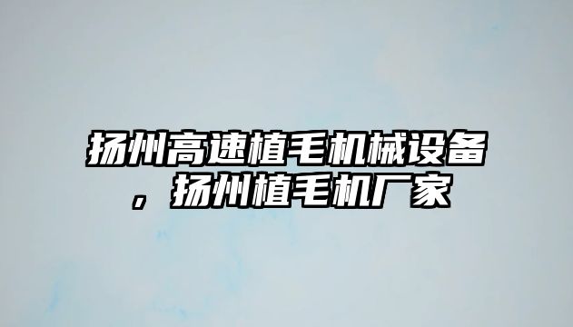 揚州高速植毛機械設備，揚州植毛機廠(chǎng)家