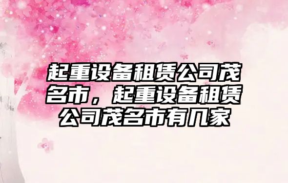 起重設備租賃公司茂名市，起重設備租賃公司茂名市有幾家