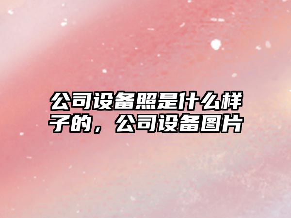 公司設備照是什么樣子的，公司設備圖片