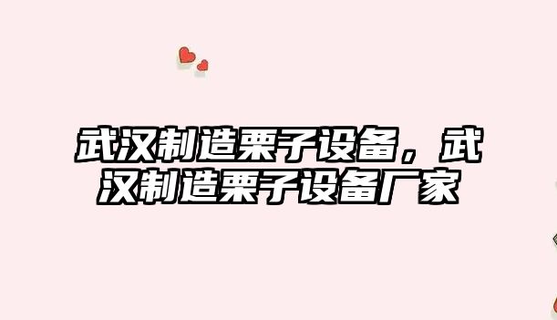 武漢制造栗子設備，武漢制造栗子設備廠(chǎng)家
