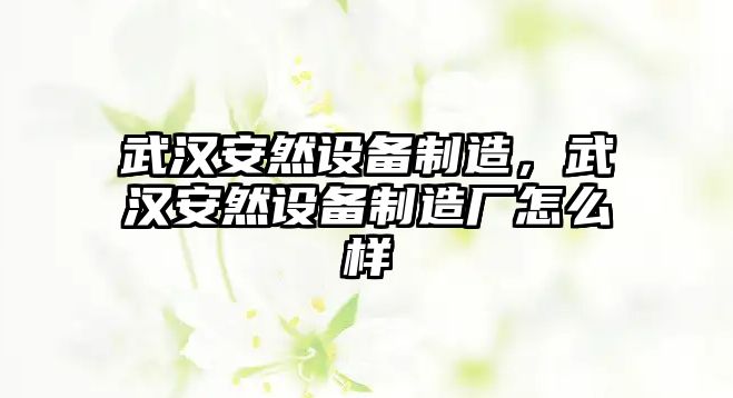武漢安然設備制造，武漢安然設備制造廠(chǎng)怎么樣