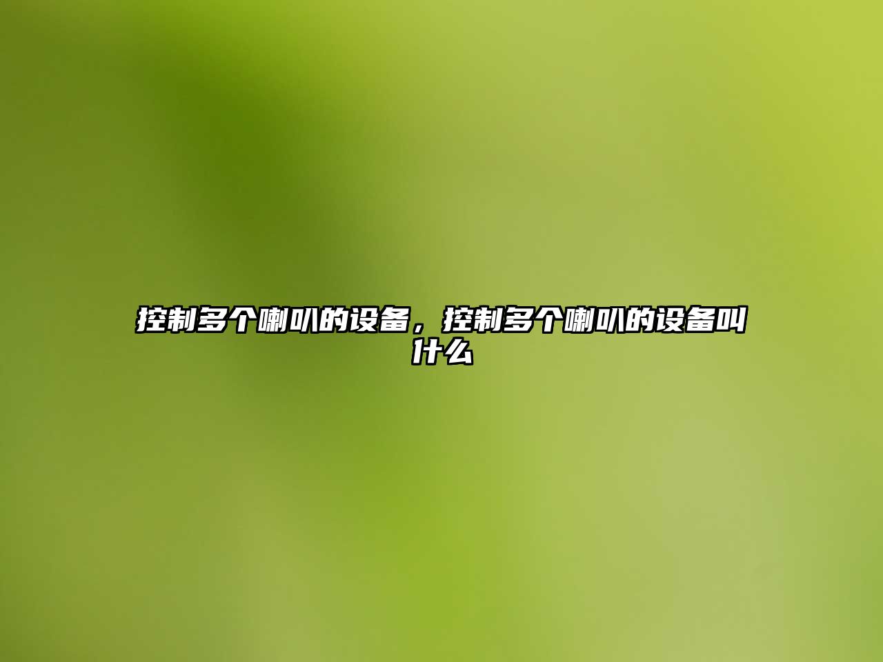控制多個(gè)喇叭的設備，控制多個(gè)喇叭的設備叫什么