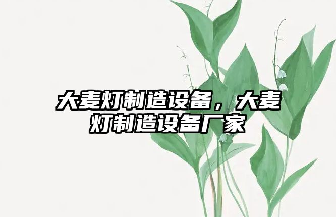 大麥燈制造設備，大麥燈制造設備廠(chǎng)家