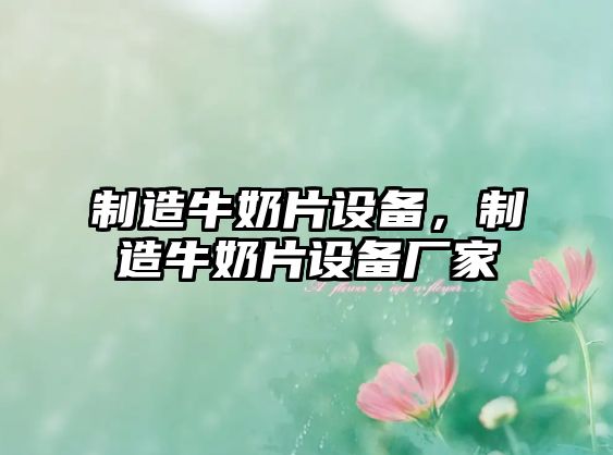 制造牛奶片設備，制造牛奶片設備廠(chǎng)家