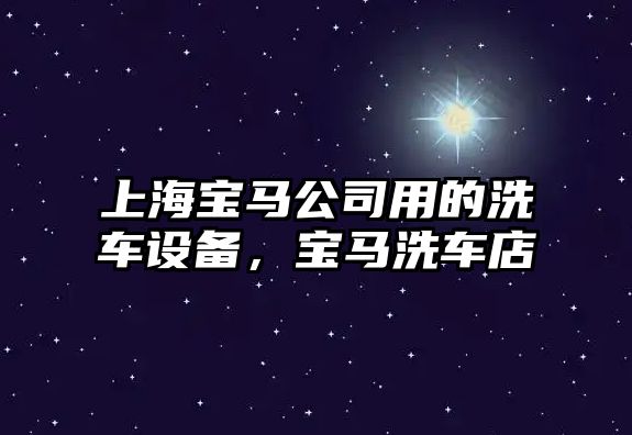 上海寶馬公司用的洗車(chē)設備，寶馬洗車(chē)店