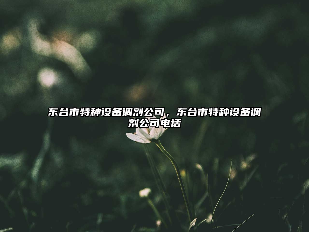 東臺市特種設備調劑公司，東臺市特種設備調劑公司電話(huà)