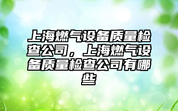 上海燃氣設備質(zhì)量檢查公司，上海燃氣設備質(zhì)量檢查公司有哪些
