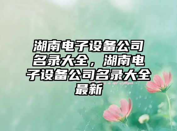 湖南電子設備公司名錄大全，湖南電子設備公司名錄大全最新
