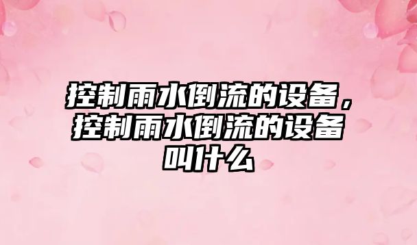 控制雨水倒流的設備，控制雨水倒流的設備叫什么