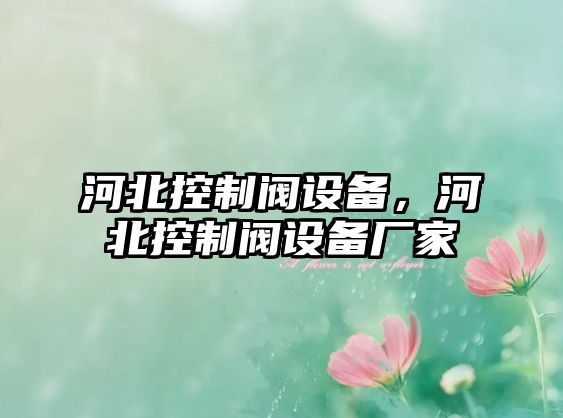 河北控制閥設備，河北控制閥設備廠(chǎng)家