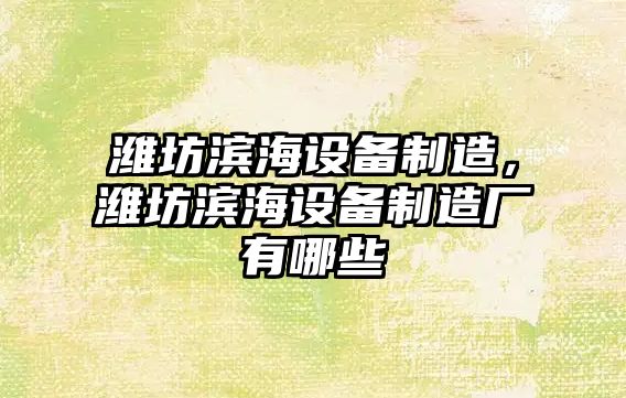 濰坊濱海設備制造，濰坊濱海設備制造廠(chǎng)有哪些