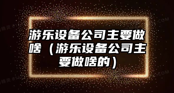 游樂(lè )設備公司主要做啥（游樂(lè )設備公司主要做啥的）
