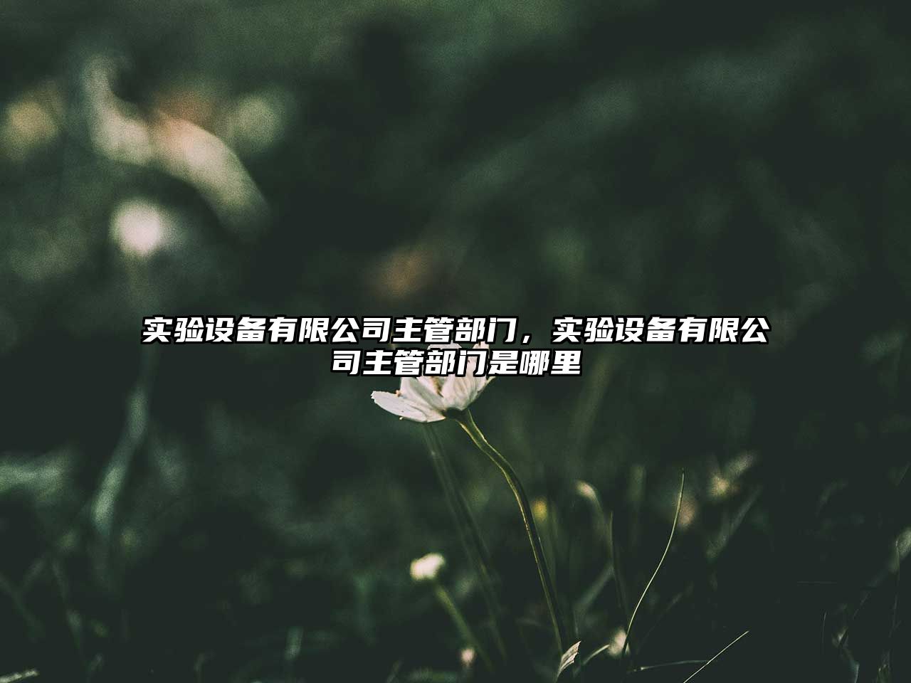 實(shí)驗設備有限公司主管部門(mén)，實(shí)驗設備有限公司主管部門(mén)是哪里