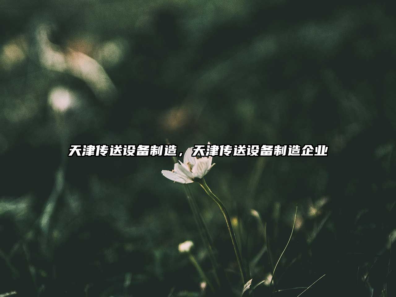 天津傳送設備制造，天津傳送設備制造企業(yè)