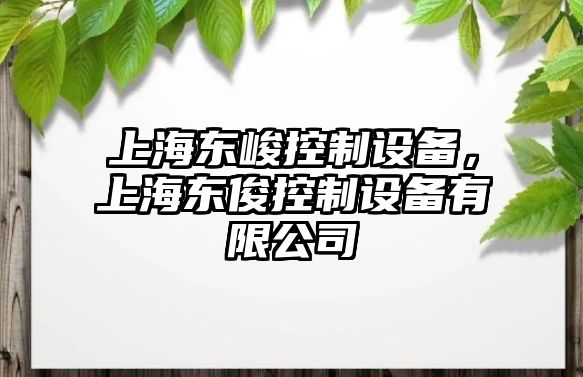 上海東峻控制設備，上海東俊控制設備有限公司
