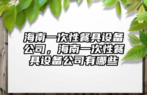 海南一次性餐具設(shè)備公司，海南一次性餐具設(shè)備公司有哪些
