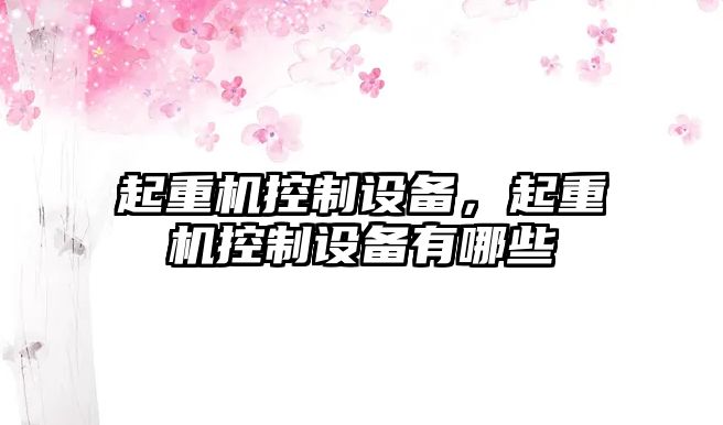 起重機控制設備，起重機控制設備有哪些