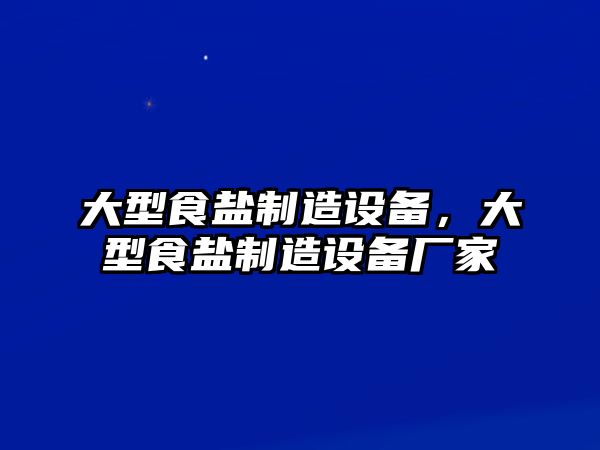 大型食鹽制造設備，大型食鹽制造設備廠(chǎng)家