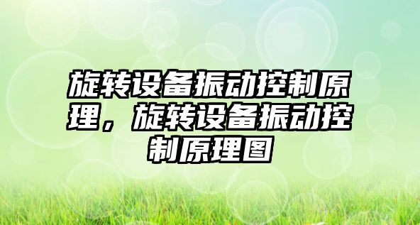 旋轉設備振動(dòng)控制原理，旋轉設備振動(dòng)控制原理圖