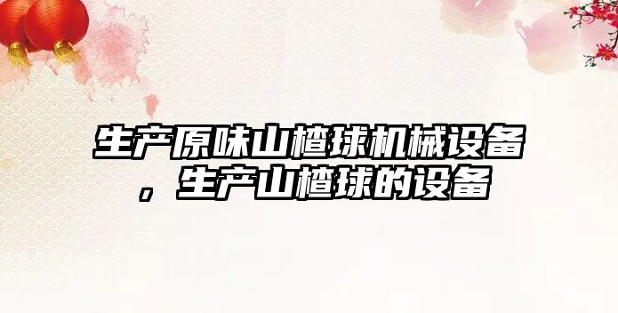 生產(chǎn)原味山楂球機械設備，生產(chǎn)山楂球的設備