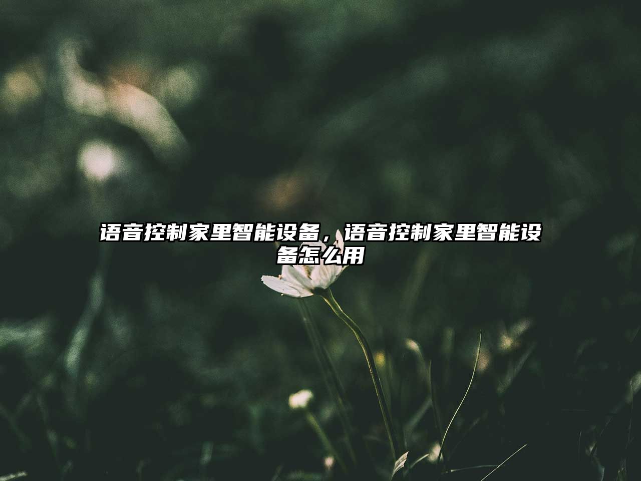 語(yǔ)音控制家里智能設備，語(yǔ)音控制家里智能設備怎么用